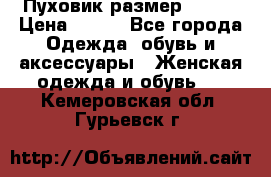 Пуховик размер 42-44 › Цена ­ 750 - Все города Одежда, обувь и аксессуары » Женская одежда и обувь   . Кемеровская обл.,Гурьевск г.